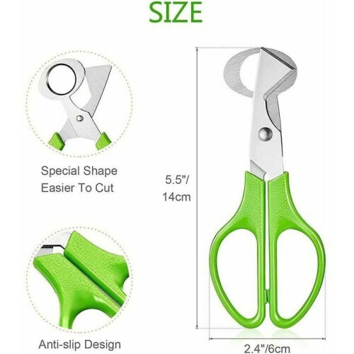 Stainless Steel Quail Egg Scissors Kitchen Tool for Opening Egg Shells, Multiple Colors, Large 1