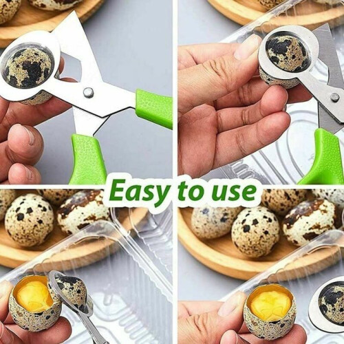 Stainless Steel Quail Egg Scissors Kitchen Tool for Opening Egg Shells, Multiple Colors, Large 2