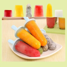 Ice Cream Molds with Lids (excluding BPA-free silicone ice cream molds) - Can be used as ice cream cups