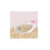 Litter Scoop - Not Specified - 2 Pieces - Durable PP Plastic - Non-Slip Handle - Graduated Design 2
