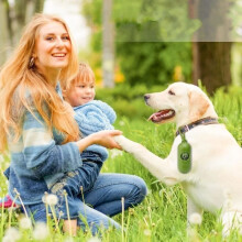 Dog Poop Bags - Dog Poop Bags - Dog Poop Bags - 36 Rolls, 540 Pieces, Thick, Leakproof, Heavy Duty, Scented