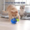 Interactive cat ball with replaceable tail, smart interactive ball, 2 speeds, automatic electric toy ball 3