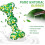 Chewable Toy - Indestructible - Natural Rubber - Safe - Green 3