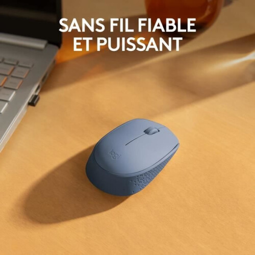 Hiiri - Langaton - Logitech - M171 - Siniharmaa - Molempikätinen 1