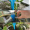 Adjustable automatic drip irrigation system for plants, easy installation, durable ABS, ideal for gardens and holidays 5