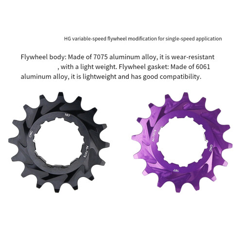 Glatte 16-Zahn-Single-Speed-Fahrradausrüstung. Solide-Schwarz 2