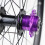 Glatte 16-Zahn-Single-Speed-Fahrradausrüstung. Solide-Schwarz 7