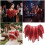 Retros Embroidered Capes For Wedding Sequins-black gold 3