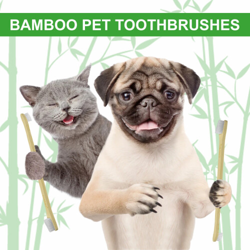 Cepillos de dientes para mascotas 3 piezas/caja