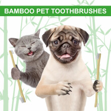 Spazzolini da denti per animali domestici 3 pezzi/scatola