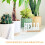 1Bouleacrylique Claire Pour Jonglage, Accessoire Décoratif 6