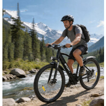 26'' LIZIFLY T8 Electric Bike 250W E-Bike for Adults 48V13AH 150 kg