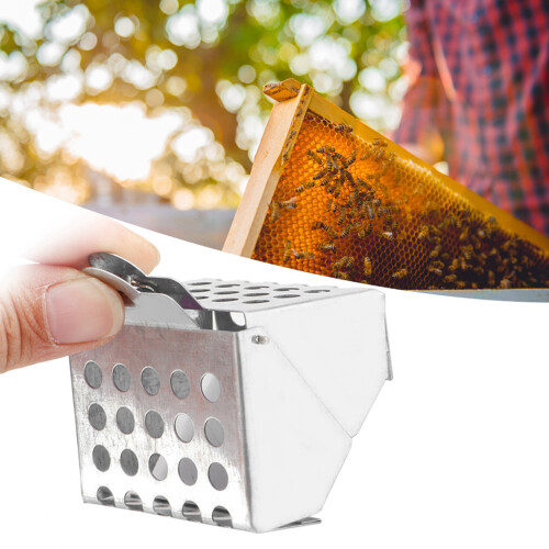 Queen Bee Catcher Clip Rust Proof 1