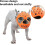 (Orange, L) Bite-proof muzzle for short-snout breeds, soft silicone for aggressive dogs 4