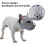 (Grey, M) Bite-proof muzzle for short-snout breeds, soft silicone for aggressive dogs 3