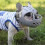 (Grey, M) Bite-proof muzzle for short-snout breeds, soft silicone for aggressive dogs 5