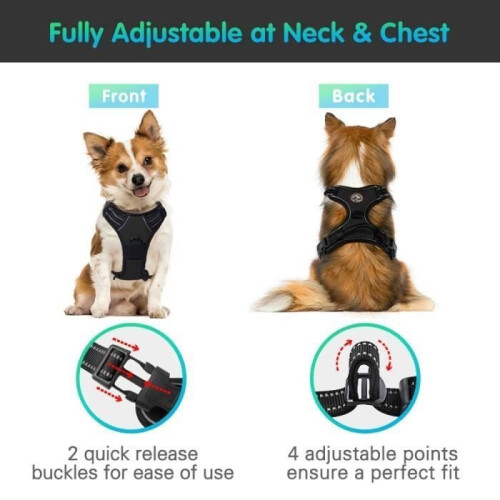 Dog Harness - BIGILANTUH - M - Anti-Pull - Reflective - Durable 2