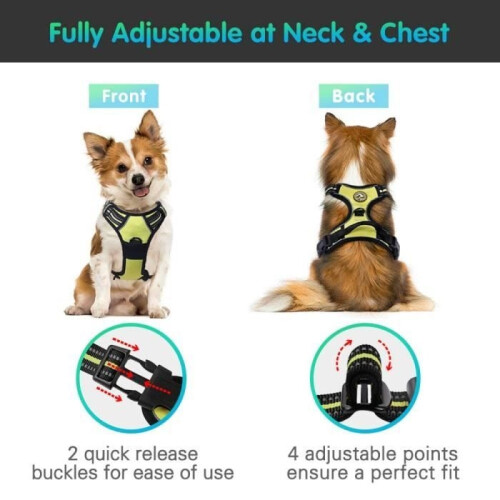 Anti-Pull Harness - BIGILANTUH - M - Reflective - Breathable - Durable 2