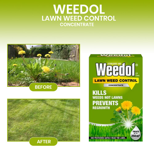 Weedol Weedol Lawn Weedkiller Concentrate Selective Lawn Treatment 500ml 1