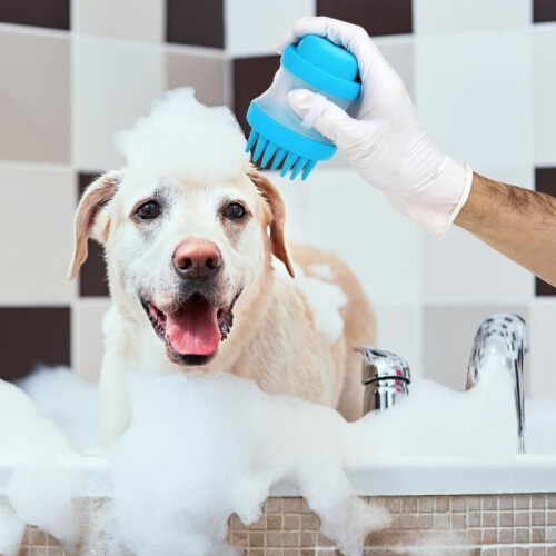 PrixPrime - Pet Bath Brush with Shampoo Reservoir 2