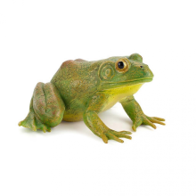 Lustiger, realistischer Frosch zum Stressabbau, Spielzeug für Kinder, Geschenk zum Geburtstag