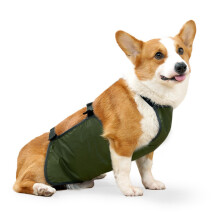 Fascia addominale per cani, lavabile, protettiva per la pancia dei cani, morbida, a prova di perdite, riutilizzabile, accessorio per animali