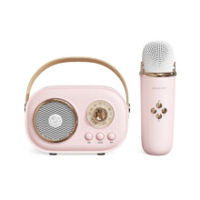Kabelloser Bluetooth-Audioverstärker für Zuhause und KTV, tragbares Mikrofon für Kinder-Karaoke, kleines Mikrofon