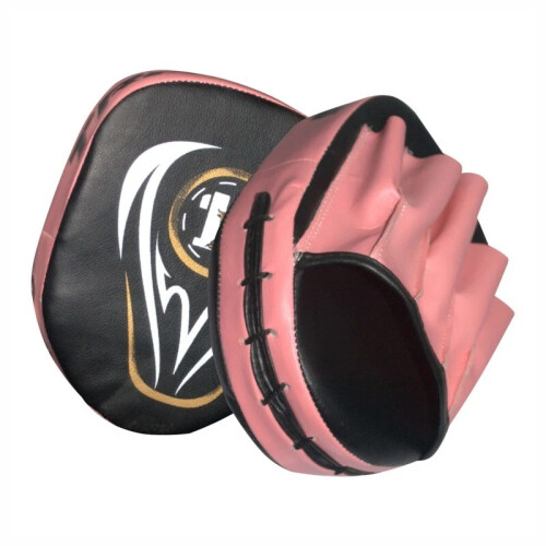 punching gloves + focus training mitt pads 1