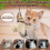 Interactive Chirping Bird Cat Toy Flapping Wings Bird 2