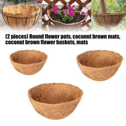 Outdoor Coconuts Hanging Planter Decorative Gardens-12 inches 2