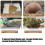 Outdoor Coconuts Hanging Planter Decorative Gardens-12 inches 7