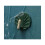 4-piece seashell-shaped wall hooks - white, cute shaped wall hooks, self-adhesive hanging hooks 2