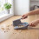 Beldray Beldray Antibac Countertop Dustpan & Brush Set 7