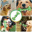Chewable Toy - Indestructible - Natural Rubber - Safe - Green 2