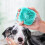 Bath brush - Soft silicone - Multi-functional - Effective cleaning - Shower gel application 3