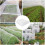 Insect netting, 2.5 x 10 m mesh, for garden, vegetable patch, vegetables 5