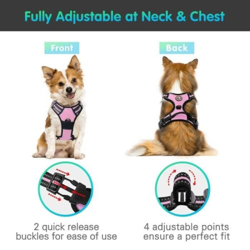 Dog Harness - BIGILANTUH - Anti-Pull - Red - Size L - Reflective and Durable 2