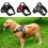Small to Medium Dog Harness - Size M - Black - Adjustable, Padded and Soft with Handle - Top Quality! 4