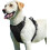 Dog Harness - Arnet - Size L - Anti-Pull - Reflective - Black 6