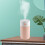 Portable Aromatherapy Diffuser, Cool Mist Humidifier, 2 4
