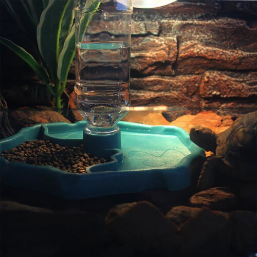 Διανομέας νερού 2 σε 1 για ερπετά, μπολ νερού Terrarium για ερπετά, ανθεκτικό πλαστι 2