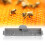 Anti Swarm Bee Spacer Pack of 10 2