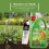 Doff Doff Lawn Weedkiller RTU 3L Ready Spray 4