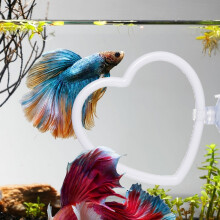 Suction Cup Mounted Exercise Rings For Fish Tanks-heart shape