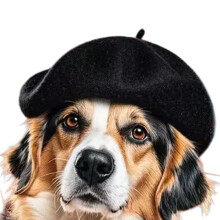 Béret en laine pour animaux de compagnie, chapeau chaud-Noir