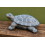Garden Tortoise Ornament MGO | 31 cm 5