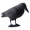 Ρεαλιστικό αποτρεπτικό πουλιών Raven Decoy για εξωτερικό έλεγχο παρασίτων κα 1