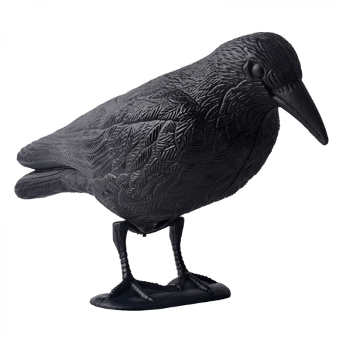 Ρεαλιστικό αποτρεπτικό πουλιών Raven Decoy για εξωτερικό έλεγχο παρασίτων κα