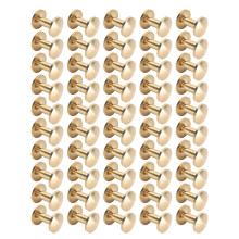 Kit di fissaggi in pelle da 50 pezzi, rivetti in ottone 10x10 mm