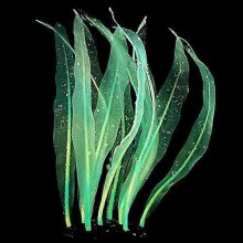 Aquarium Decoration Plants Simulation Artificial Water Grass Fish Tank Decor Silicone Glowing Kelp Ornament Aquarium Accessories,Green